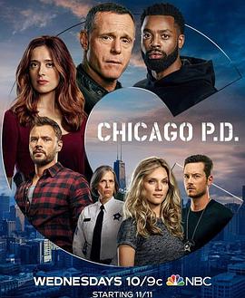 芝加哥警署第八季(全集)